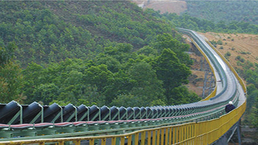 NN �����̾Ʈ